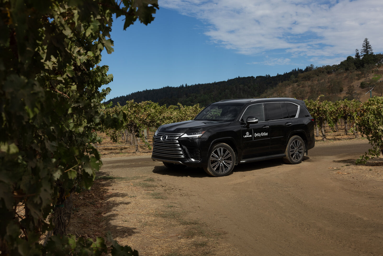 A Lexus SUV at the vineyards of Heitz Cellar